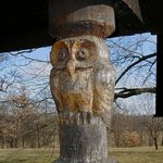 Moudrost zakletá do dřeva